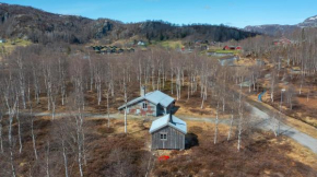 Unique cabin Sikringsbua in Sirdal